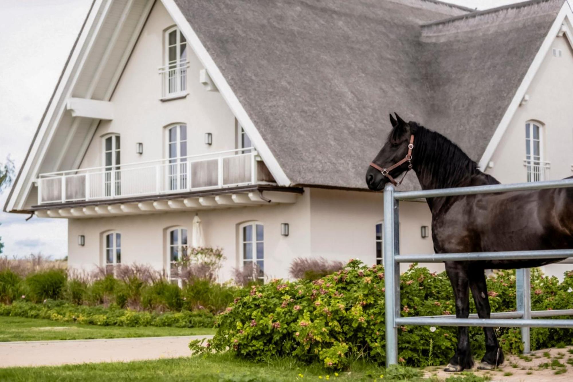 Lerchenhof In Reestow Daire Dış mekan fotoğraf